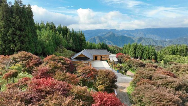 金赢中心 鹤峰：红枫漫林间 夏日纳凉天