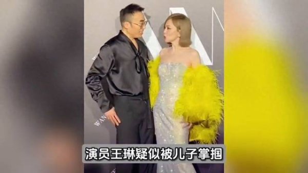 日升鑫 王琳怒怼被儿子掌掴谣言