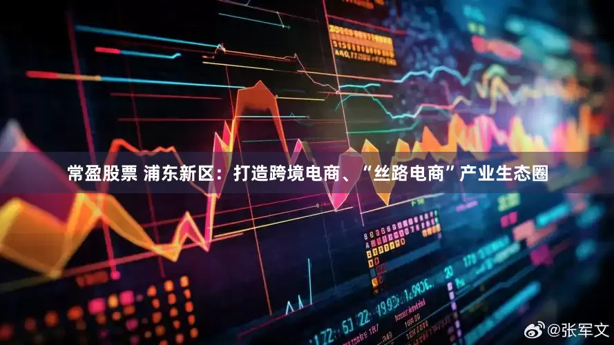 常盈股票 浦东新区：打造跨境电商、“丝路电商”产业生态圈
