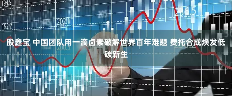 股鑫宝 中国团队用一滴卤素破解世界百年难题 费托合成焕发低碳新生