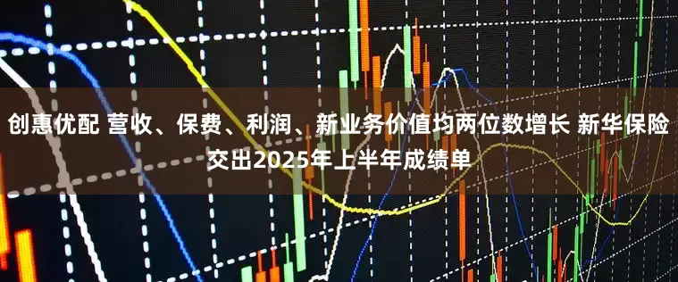 创惠优配 营收、保费、利润、新业务价值均两位数增长 新华保险交出2025年上半年成绩单