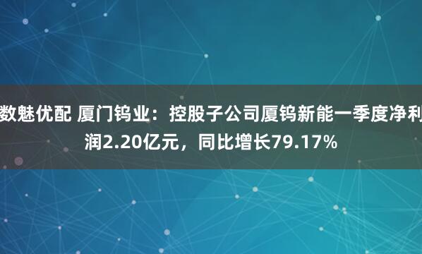 数魅优配 厦门钨业：控股子公司厦钨新能一季度净利润2.20亿元，同比增长79.17%